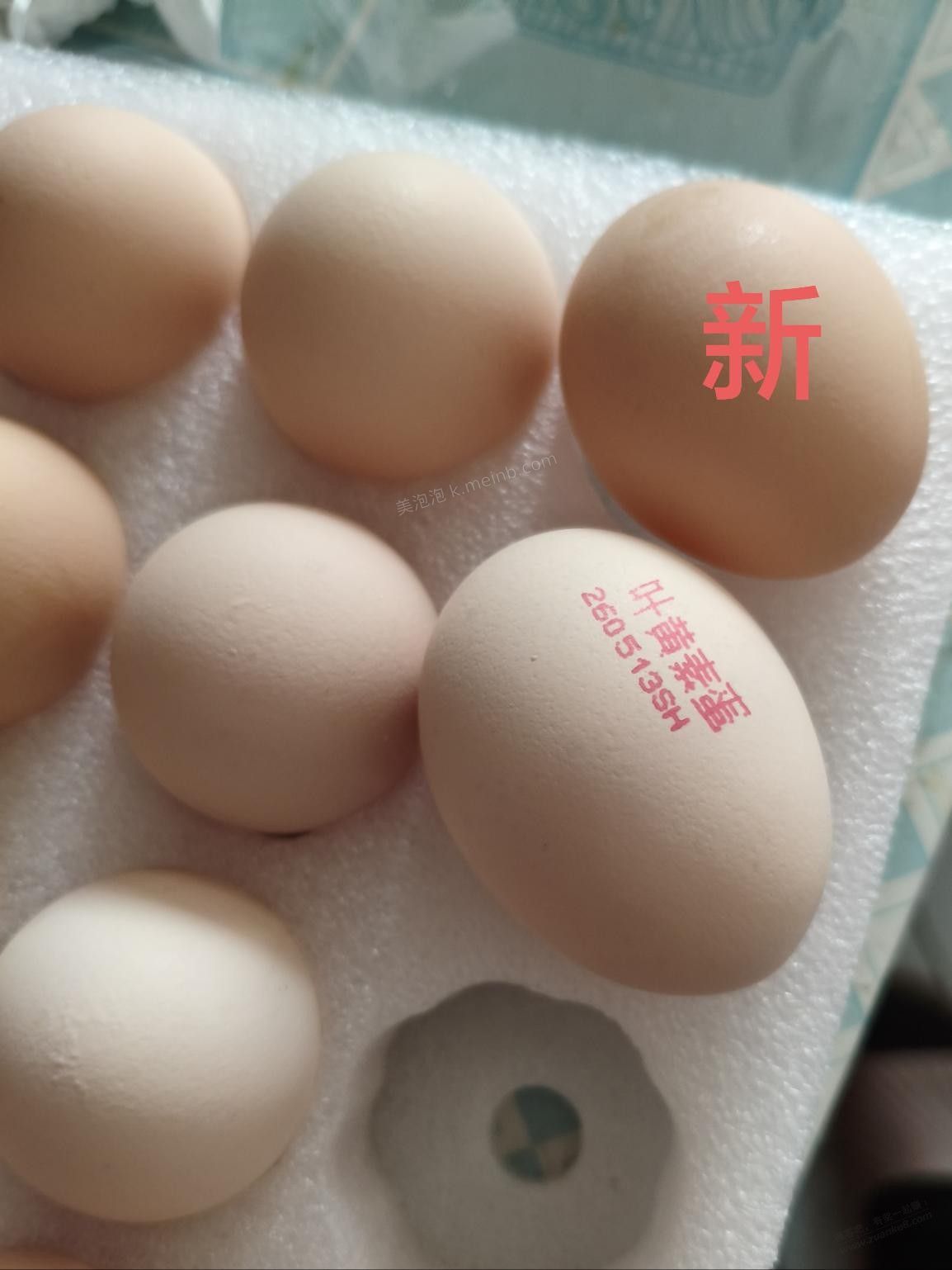 1号蛋严重缩水 - 美泡泡