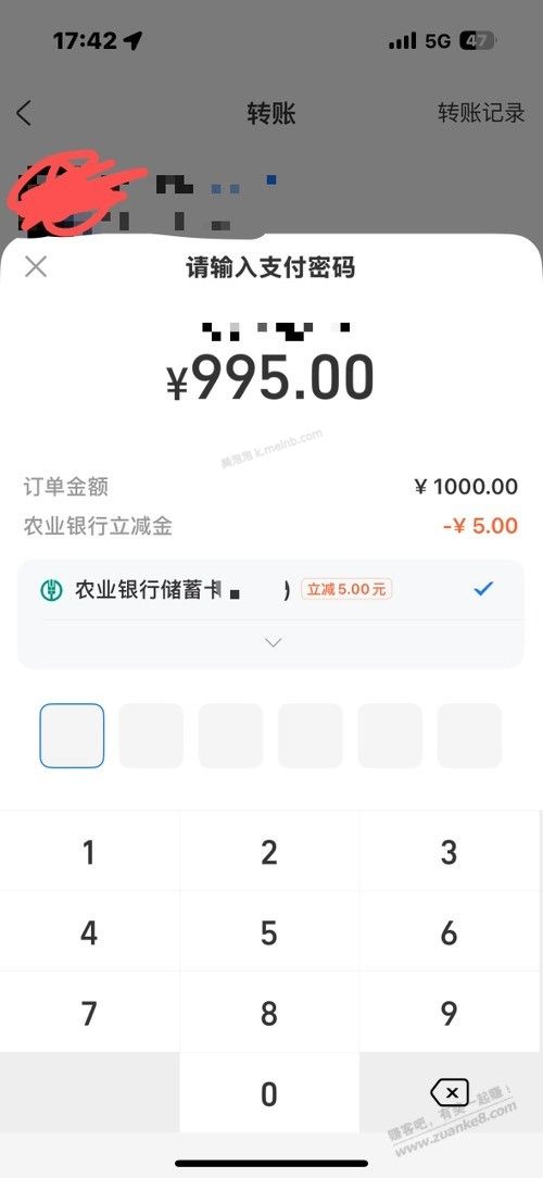 支付宝转账1000-5 - 美泡泡