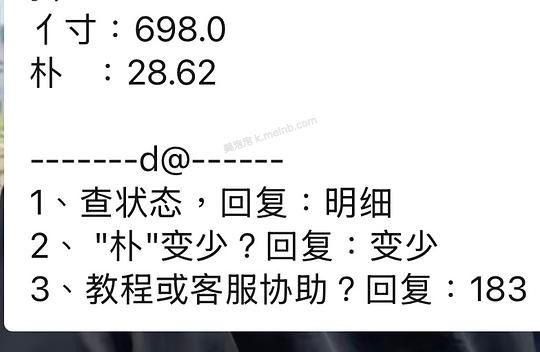 🫘法米娜官旗单包295 - 美泡泡