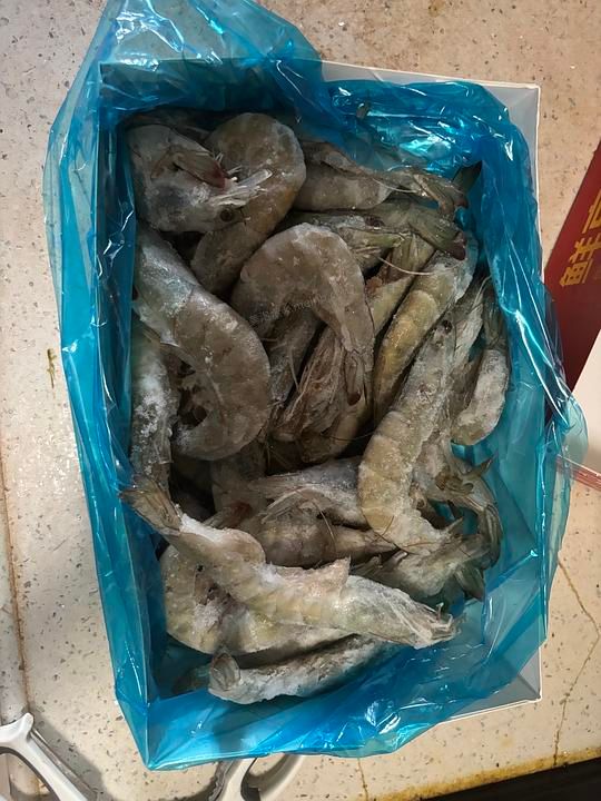 61三斤手掌大的虾 - 美泡泡